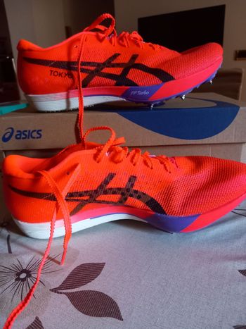 Used Asics Metaspeed LD LE 2 2026 bike
