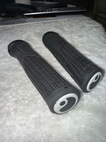Used Ergon GE1 Evo MTB Grips bike