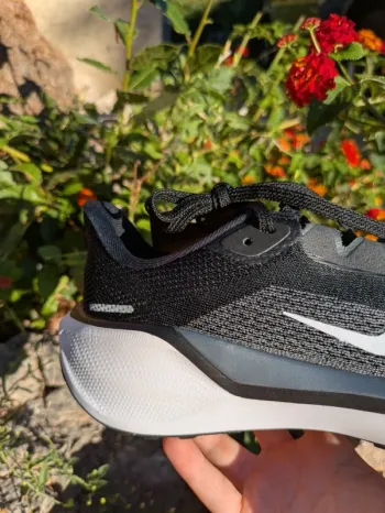 Pegasus 41 bike usato — immagine 7 di 15