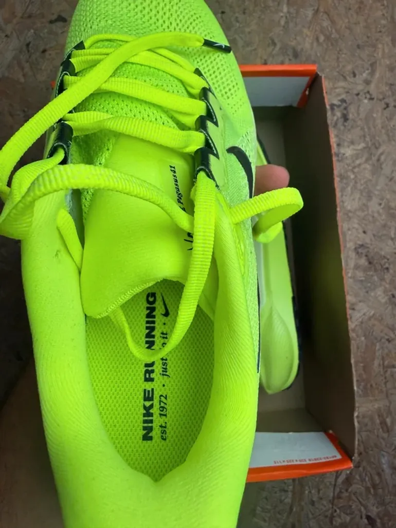 Pegasus 41 bike usato — immagine 7 di 8