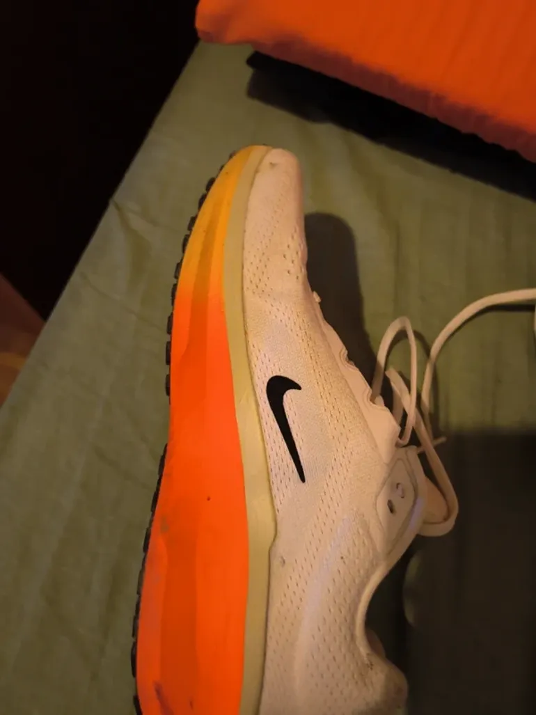 Nike Wiflo 11 2026 bike usato — immagine 12 di 13