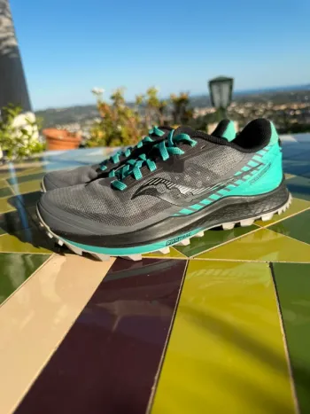 Saucony Peregrine 11 bike usato