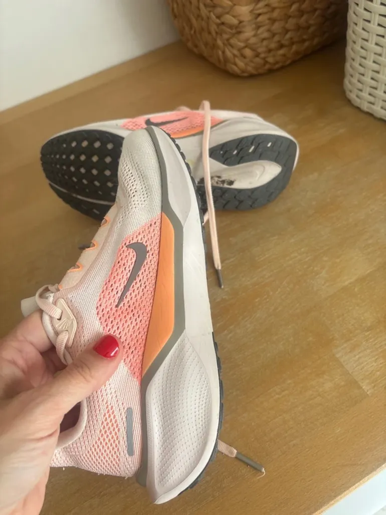 Pegasus 41 bike usato — immagine 6 di 8