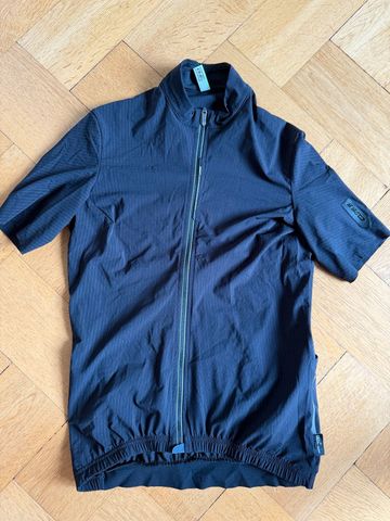 Used Q36.5 Dottore 2024 bike — image 1 of 5