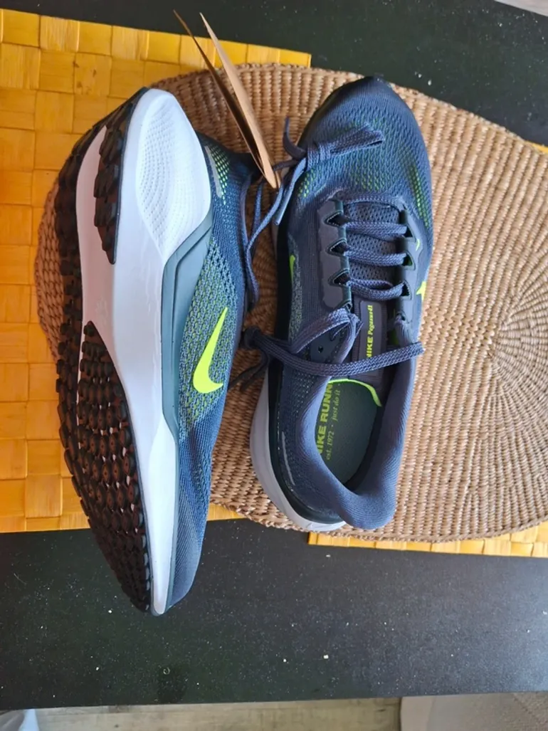 Pegasus Air Zoom 41 bike d'occasion — image 3 sur 5