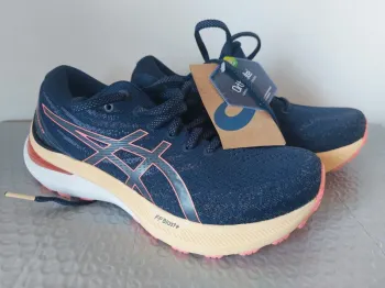 Asics Gel Kayano 29 bike d'occasion