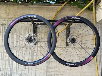 Used URSUS MIURA TS47 evo DISC 2021 bike