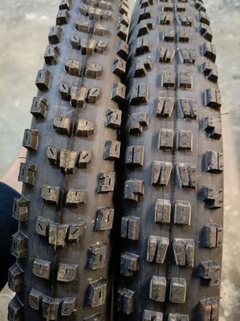 Maxxis DHF and Dissector Tires bike d'occasion