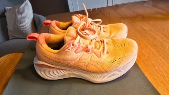 Gebrauchtes Asics Gel-Cumulus 25 bike