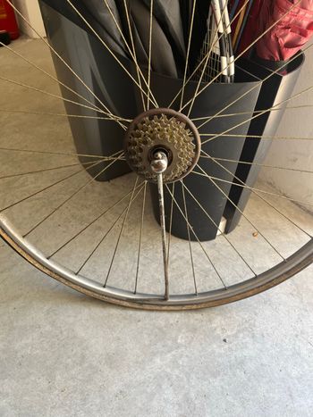 Gebrauchtes Campagnolo Cambio 1950 bike