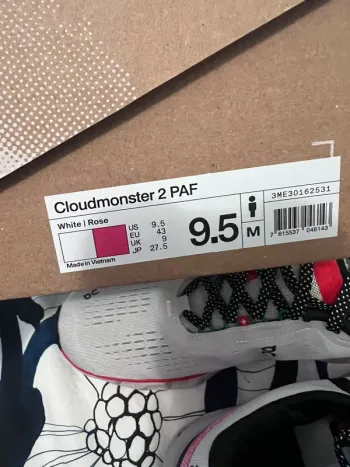 Used Lightweight Cloudmonster 2 bike — image 3 of 7