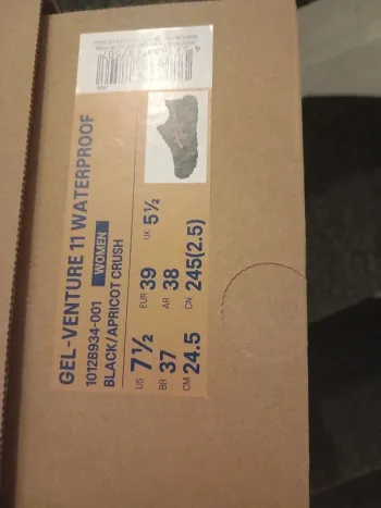 Used Asics Running Shoes bike