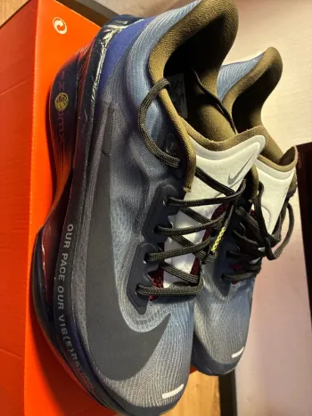 Gebrauchtes Nike Zoom Fly 6 PRM bike