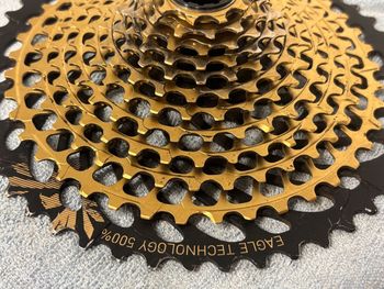 Sram XG1299 XX1 bike usato