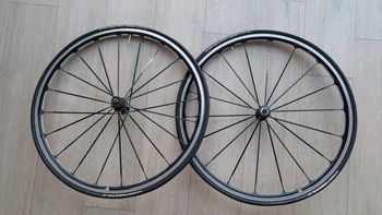 Used Continental Ksyrium bike