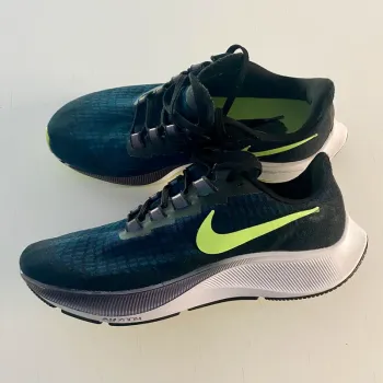 Nike Zoom Pegasus 37 bike usato
