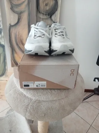 Used On Running Cloudmonster 2 bike