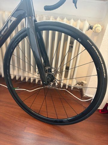 Tweedehands Fulcrum Racing 600DB 2026 bike — afbeelding 2 van 3