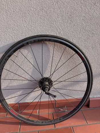 Použité URSUS Hybrida Wheelset bike — obrázek 5 z 9