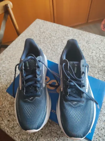 Used Brooks Ghost 17 bike