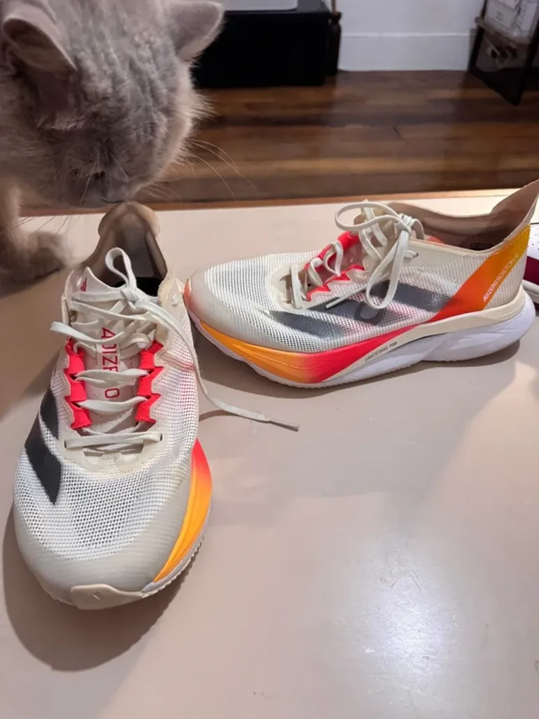 Gebrauchtes Adidas Adizero Boston 12 bike — Bild 2 von 4