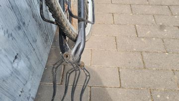 Used Extrawheel https://.com/products/bike-trailer-brave-solo/ bike — image 2 of 5