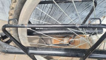 Brugt Extrawheel https://.com/products/bike-trailer-brave-solo/ bike — billede 5 af 5
