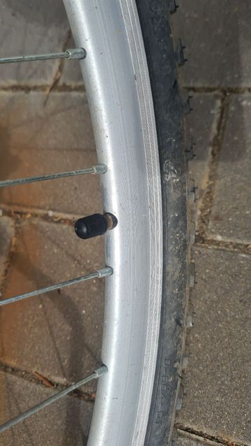 Used Extrawheel https://.com/products/bike-trailer-brave-solo/ bike — image 3 of 5