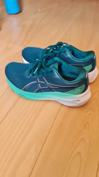 Brugt Asics Gel Kayano 30 bike
