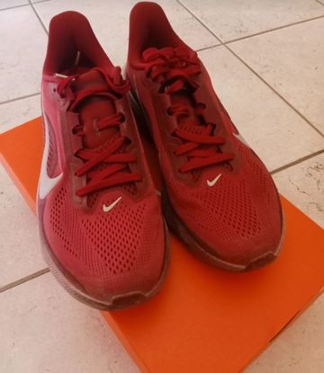Nike Pegasus 42 2026 Running Shoes de segunda mano