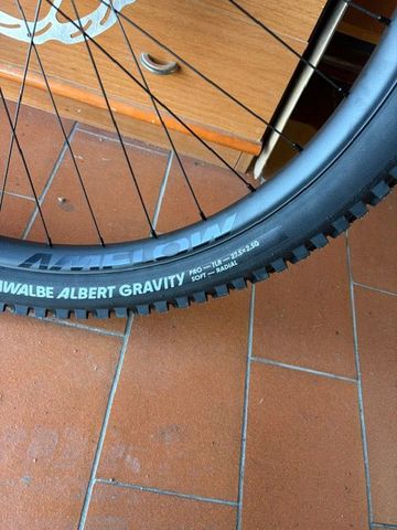 Used Schwalbe Albert Gravity Pro Super Soft 2026 bike — image 2 of 4