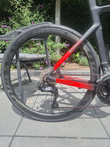 Gebrauchtes 9th Wave Avalon Wheelset 2024 bike — Bild 2 von 2