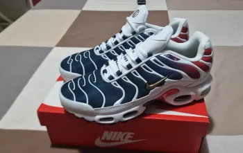 Used Nike Air Max TN PSG bike
