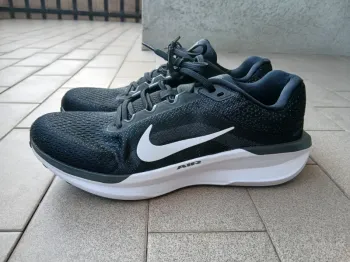 Tweedehands Nike Winflo 11 bike
