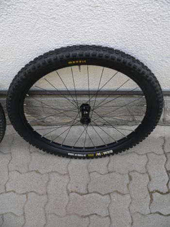 Gebrauchtes URSUS Custom 2024 bike — Bild 2 von 14