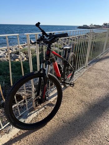 Used Selle Smp MTB 2026 bike