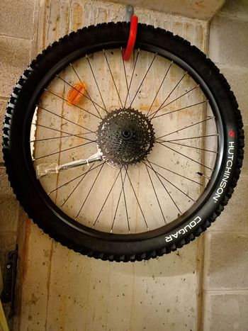 Used Hutchinson cougar 2023 bike