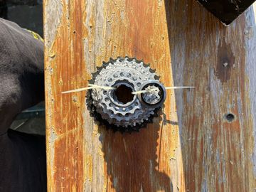 Used Miche 12v Cassette 2024 bike — image 4 of 4