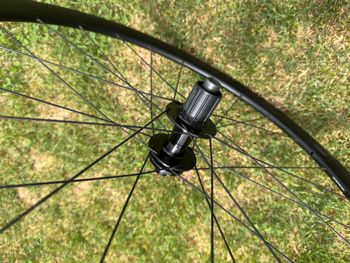 Giant PA2 2025 bike usato — immagine 2 di 5