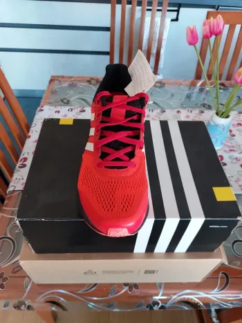 Použité Supernova Guide 8 bike — obrázek 5 z 6