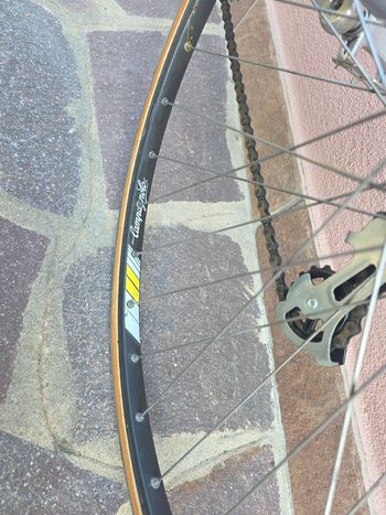 Brugt Campagnolo Omega bike — billede 11 af 12