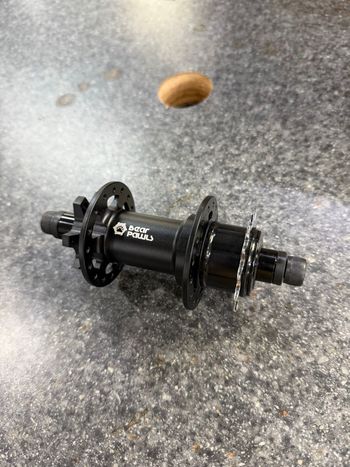Used bear pawls DJ Hub 32h 13t 2026 bike