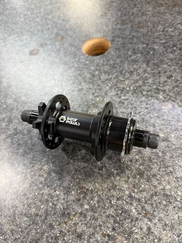 Used bear pawls DJ Hub 32h 13t 2026 Wheels