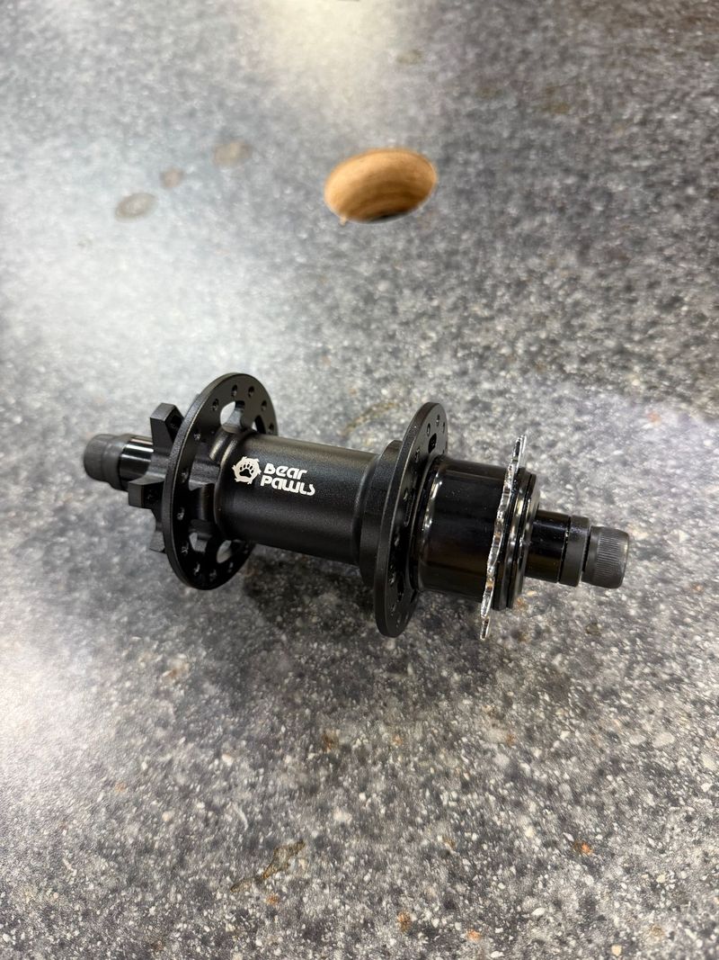 Used bear pawls DJ Hub 32h 13t 2026 Wheels