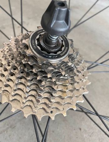 Używany Miche reflex bike — zdjęcie 4 z 8