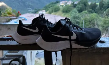 Pegasus 37 Running Shoes usato