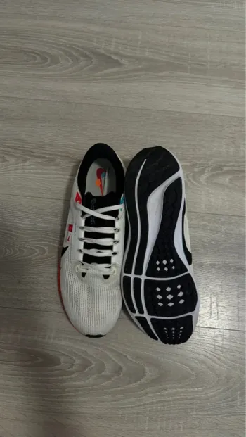 Used Pegasus Air Zoom 40 bike