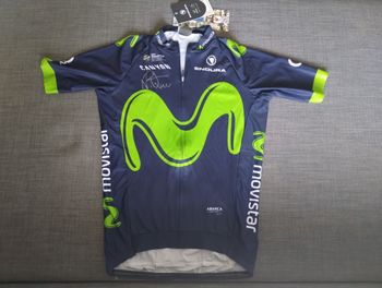 Gebrauchtes Endura Movistar Jersey 2017 bike