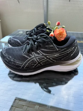 Gebrauchtes Ideal Gel-Kayano 29 bike