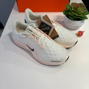 Gebrauchtes Nike Air Winflo 11 GTX bike